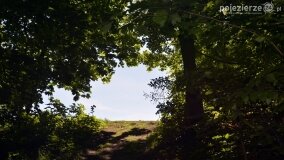 Głębokie bardziej tajemnicze niż myślałem... - zdjęcie 35