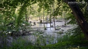 Głębokie bardziej tajemnicze niż myślałem... - zdjęcie 34