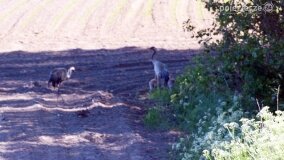 Głębokie bardziej tajemnicze niż myślałem... - zdjęcie 32