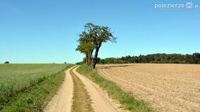 Głębokie bardziej tajemnicze niż myślałem... - zdjęcie 28
