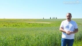 Głębokie bardziej tajemnicze niż myślałem... - zdjęcie 27