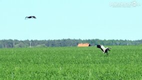 Głębokie bardziej tajemnicze niż myślałem... - zdjęcie 26