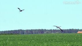 Głębokie bardziej tajemnicze niż myślałem... - zdjęcie 25