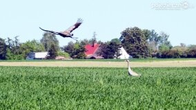 Głębokie bardziej tajemnicze niż myślałem... - zdjęcie 23