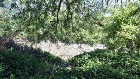 Głębokie bardziej tajemnicze niż myślałem... - zdjęcie 22