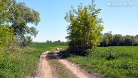 Głębokie bardziej tajemnicze niż myślałem... - zdjęcie 20