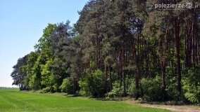 Głębokie bardziej tajemnicze niż myślałem... - zdjęcie 19