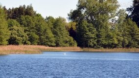 Głębokie bardziej tajemnicze niż myślałem... - zdjęcie 18