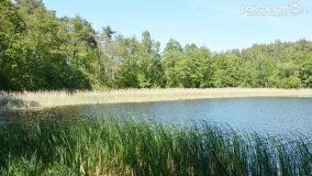 Głębokie bardziej tajemnicze niż myślałem... - zdjęcie 17