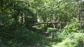 Głębokie bardziej tajemnicze niż myślałem... - zdjęcie 16