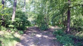 Głębokie bardziej tajemnicze niż myślałem... - zdjęcie 14