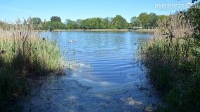 Głębokie bardziej tajemnicze niż myślałem... - zdjęcie 12