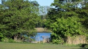 Głębokie bardziej tajemnicze niż myślałem... - zdjęcie 11