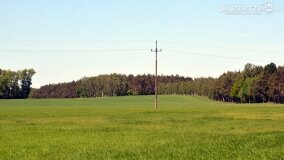 Głębokie bardziej tajemnicze niż myślałem... - zdjęcie 10