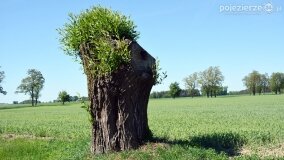 Głębokie bardziej tajemnicze niż myślałem... - zdjęcie 9