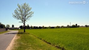 Głębokie bardziej tajemnicze niż myślałem... - zdjęcie 8