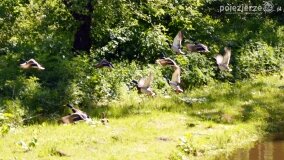 Głębokie bardziej tajemnicze niż myślałem... - zdjęcie 5