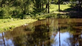 Głębokie bardziej tajemnicze niż myślałem... - zdjęcie 4