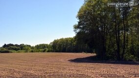 Głębokie bardziej tajemnicze niż myślałem... - zdjęcie 2
