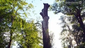 Historyczne zwiedzanie pałacu w Modliszewie już za nami! - zdjęcie 31