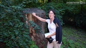 Historyczne zwiedzanie pałacu w Modliszewie już za nami! - zdjęcie 24