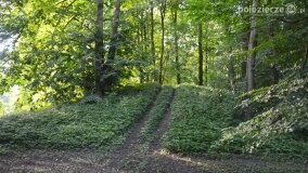 Historyczne zwiedzanie pałacu w Modliszewie już za nami! - zdjęcie 19