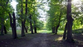 Historyczne zwiedzanie pałacu w Modliszewie już za nami! - zdjęcie 17