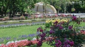 Solanki – zielone i uzdrowiskowe serce Inowrocławia - zdjęcie 21