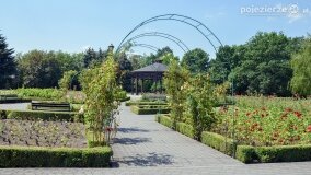 Solanki – zielone i uzdrowiskowe serce Inowrocławia - zdjęcie 16