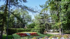 Solanki – zielone i uzdrowiskowe serce Inowrocławia - zdjęcie 2