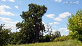 Skarby świątyni w Modliszewku, zbrodnia Lasów Nowaszyckich i tajemnice Mielna - zdjęcie 61