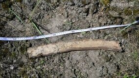 „Pole śmierci” w Lasach Nowaszyckich odsłoniło swoje ostatnie tajemnice! - zdjęcie 47