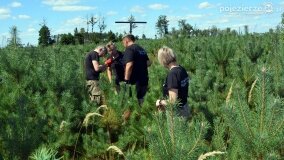 „Pole śmierci” w Lasach Nowaszyckich odsłoniło swoje ostatnie tajemnice! - zdjęcie 41