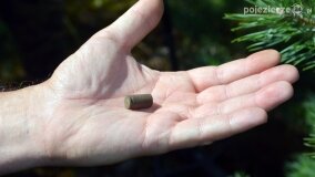 „Pole śmierci” w Lasach Nowaszyckich odsłoniło swoje ostatnie tajemnice! - zdjęcie 28