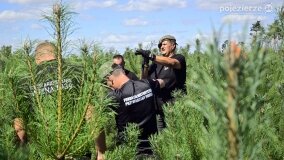 „Pole śmierci” w Lasach Nowaszyckich odsłoniło swoje ostatnie tajemnice! - zdjęcie 26