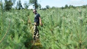 „Pole śmierci” w Lasach Nowaszyckich odsłoniło swoje ostatnie tajemnice! - zdjęcie 15