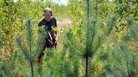 „Pole śmierci” w Lasach Nowaszyckich odsłoniło swoje ostatnie tajemnice! - zdjęcie 10