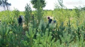 „Pole śmierci” w Lasach Nowaszyckich odsłoniło swoje ostatnie tajemnice! - zdjęcie 4