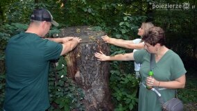 Sierpniowy wieczór w pałacu w Modliszewie - zdjęcie 23