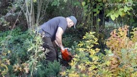 Fundacja Historyczna: podsumowanie sezonu i jesienna akcja w Modliszewku - zdjęcie 22