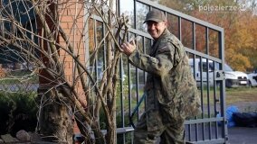 Fundacja Historyczna: podsumowanie sezonu i jesienna akcja w Modliszewku - zdjęcie 7