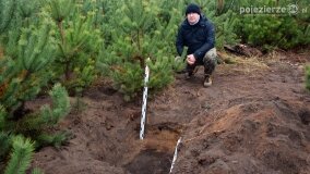 Miejsce spalenia pacjentów „Dziekanki” odnalezione! - zdjęcie 38