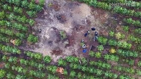 Miejsce spalenia pacjentów „Dziekanki” odnalezione! - zdjęcie 36