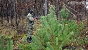 Miejsce spalenia pacjentów „Dziekanki” odnalezione! - zdjęcie 7