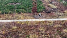 Miejsce spalenia pacjentów „Dziekanki” odnalezione! - zdjęcie 1