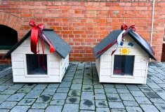 „I Ty możesz zostać Świętym Mikołajem” - zdjęcie 7