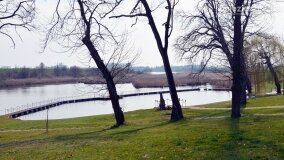 Tajemnice dworu w Rybieńcu! Czy odnaleziono dzieła sztuki Fryderyka? - zdjęcie 63