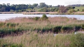 Tajemnice dworu w Rybieńcu! Czy odnaleziono dzieła sztuki Fryderyka? - zdjęcie 30