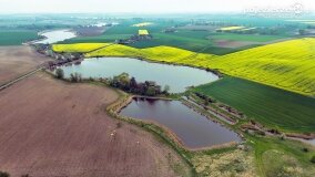 Pałac Rybieniec - magiczne miejsce w sercu Wielkopolski! - zdjęcie 13