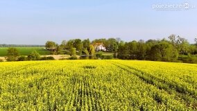 Pałac Rybieniec - magiczne miejsce w sercu Wielkopolski! - zdjęcie 12